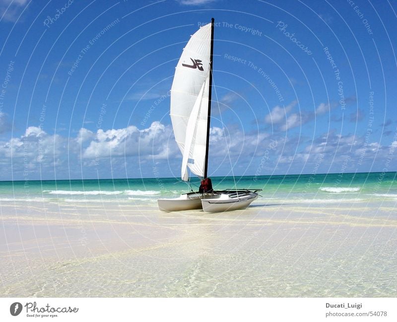 ready to go ... Beach Ocean Sailing Catamaran Cuba Relaxation Vacation & Travel Beautiful weather Sand Baccardi Island clear water shallow beach Freedom dream