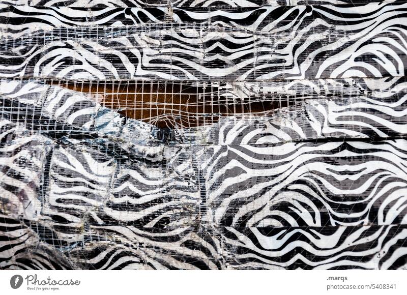 Killed zebra Zebra Zebra crossing Pattern White Black Striped Plastic plastic Close-up Broken Crack & Rip & Tear