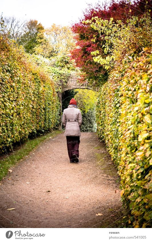 forwards Human being Feminine Woman Adults 1 Park Going Hedge Autumnal Autumnal colours To go for a walk Lanes & trails Gate Colour photo Exterior shot