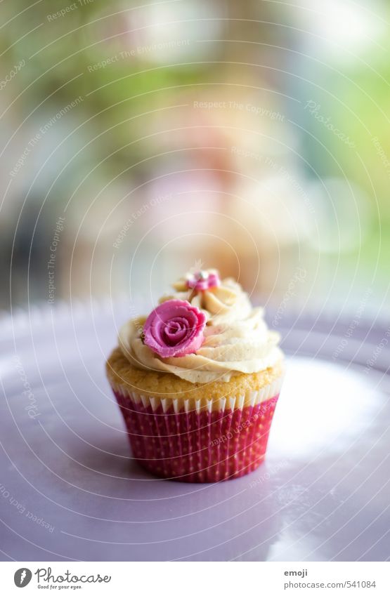 sweet Cake Dessert Candy Nutrition Picnic Slow food Finger food Delicious Sweet Pink Cupcake Colour photo Exterior shot Deserted Copy Space top Day