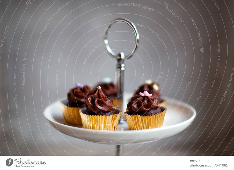 gold pieces Cake Dessert Candy Chocolate Nutrition Picnic Slow food Finger food Delicious Sweet Brown Gray Cupcake Rich in calories Colour photo Interior shot