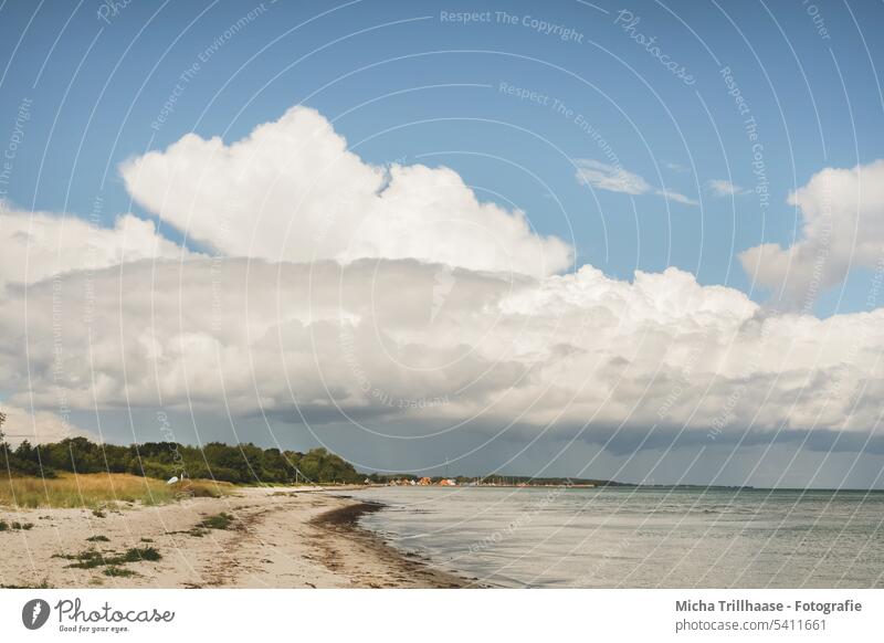Cloud formation over the Baltic Sea beach Baltic beach Beach Denmark Langeland Landscape Nature Water Ocean Clouds Sky coast Sand Waves Weather
