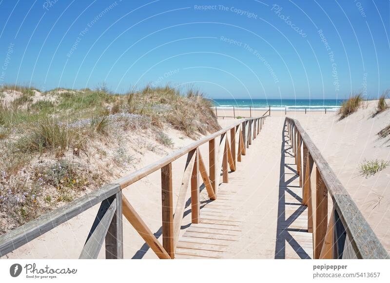 long wooden walkway in Andalusia Spain leading to dream beach Wooden bridge duene Marram grass dunes dune landscape dune protection dune path