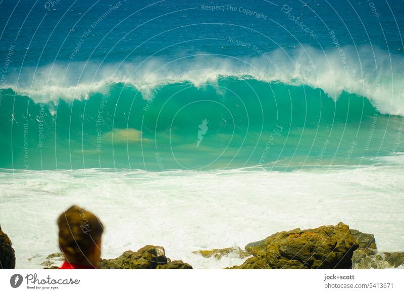 Observe water waves Swell Waves Ocean Pacific Ocean Vacation & Travel Head Woman coast Nature Wave action Elements Force of nature Crest of the wave