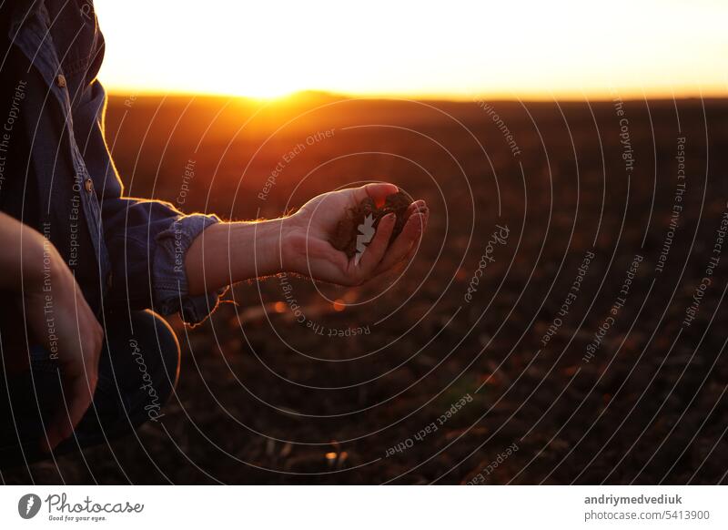 Male farmer's hand holds a handful of dry ground and checks soil fertility and quality before sowing crops on plowed field at sunset. Cultivated land. Concept of organic agriculture and agribusiness