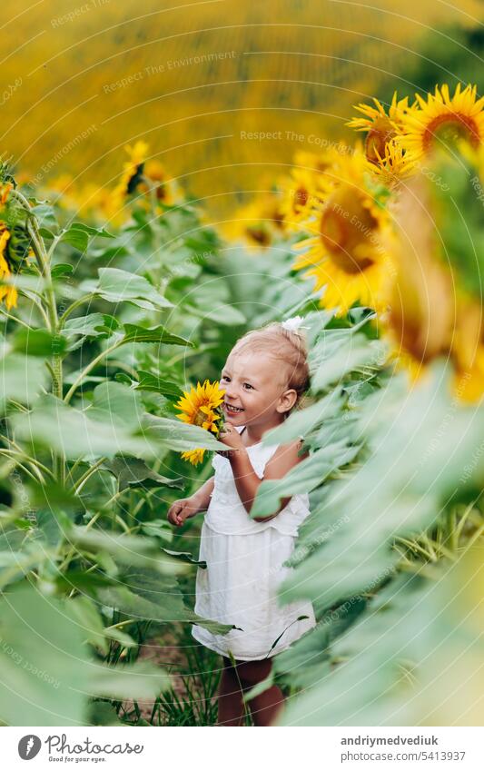 cute baby girl in field with sunflowers. little girl is holding sunflower in her hand. The concept of summer holiday. baby's day. selective focus yellow joy