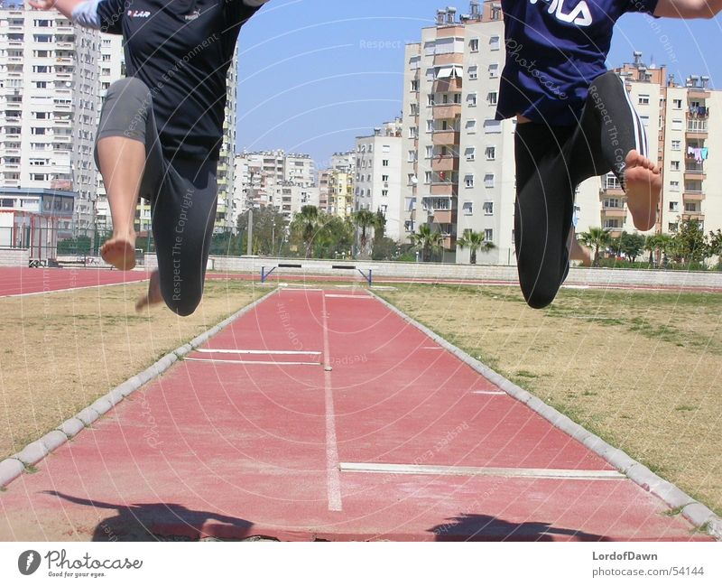 the jump Jump Summer Track and Field Sports Sports Training