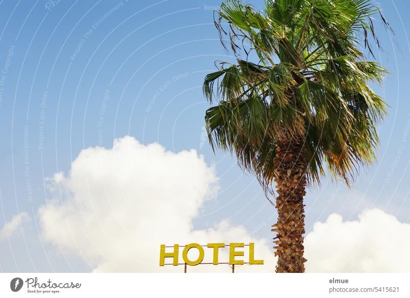 HOTEL in yellow capital letters and a palm tree against a blue sky with a big fair weather cloud Hotel Palm tree vacation dwell Accommodation Vacation & Travel
