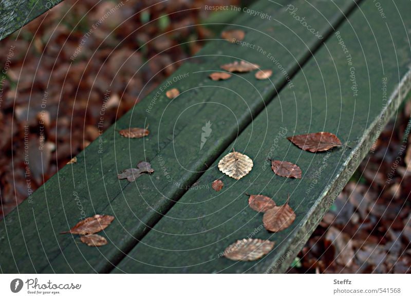 Brown autumn leaves on a dark green wooden bench in November November picture Autumn Melancholy november melancholy melancholically nostalgically
