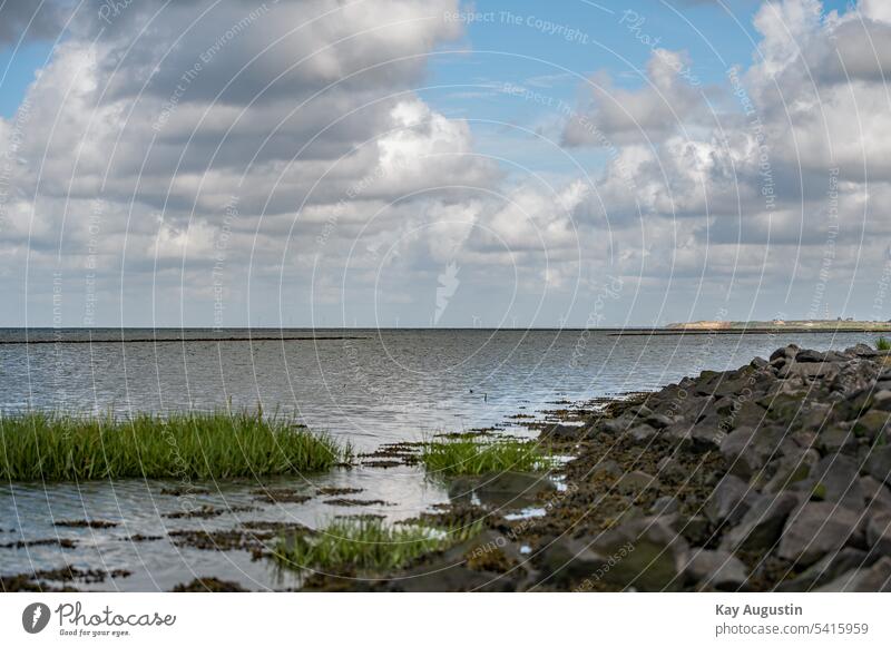 Wadden Sea National Park Mud flats North Sea coast Ocean Nature Horizon Tide Island Low tide Slick Vacation & Travel Summer Relaxation ebb and flow Sky