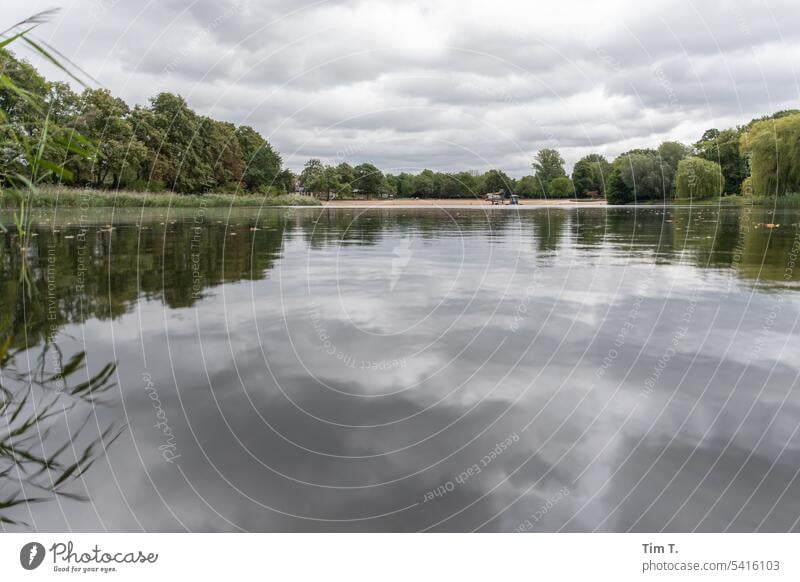Orankesee Berlin orankesee Summer Sky Lake Reflection Water Nature Deserted Clouds Exterior shot Lakeside Landscape Colour photo Calm reflection Idyll