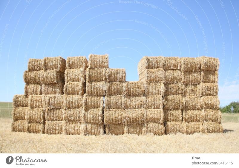 Farmer's tetris Agriculture Hay bale Harvest Landscape Stack stacked ready for removal Collection point acre Beautiful weather Sky clear Nature Field Summer