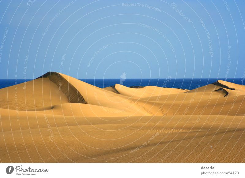 dunes Desert Beach dune Sahara