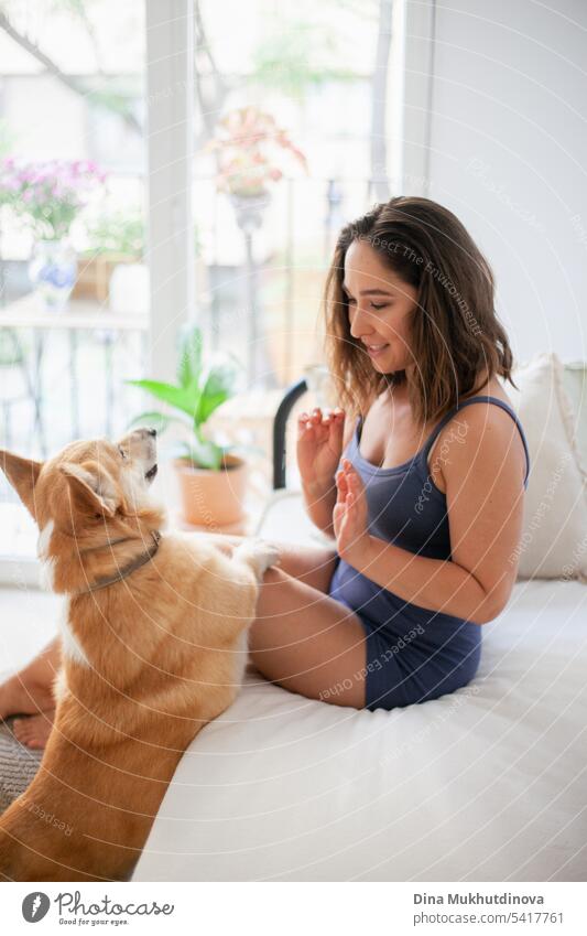 millennial caucasian woman at home with corgi dog. Dog trainer. Funny cozy picture of female with puppy in apartment. Brunette smiling with welsh corgi Pembroke dog sitting on couch.