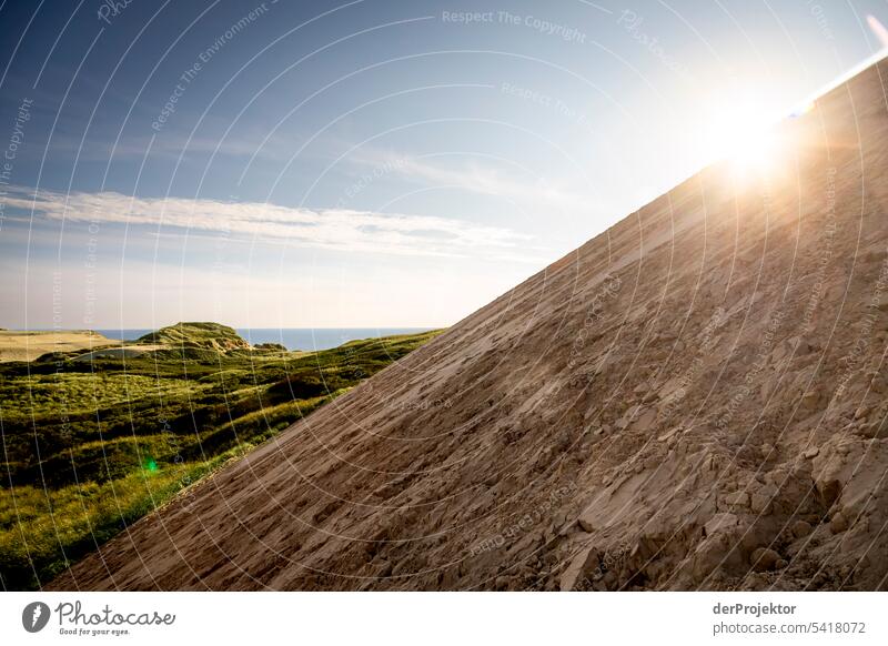 Sunset backlit in the dunes Structures and shapes Nature reserve Subdued colour Copy Space left Copy Space right Copy Space top Central perspective