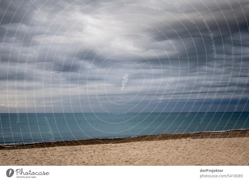 Empty beach in Denmark with moderate weather Structures and shapes Nature reserve Subdued colour Copy Space left Copy Space right Copy Space top