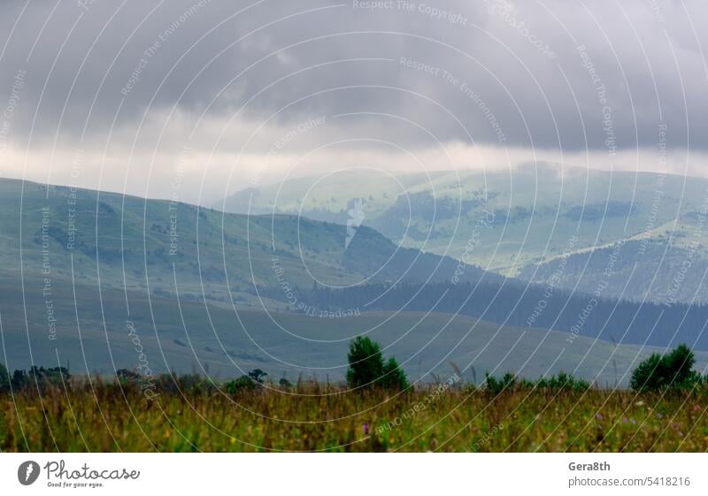 alpine meadows with green trees in the mist alps background beautiful climate cloud clouds day environment field fog forest grass high hiking hill hills