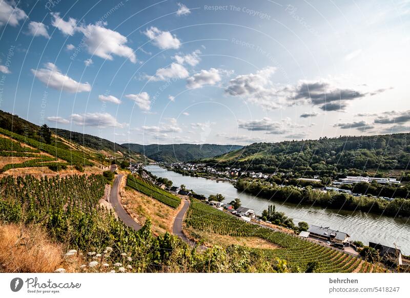 moselle time Summer Nature Sky Landscape Clouds Mountain Vineyard vine Moselle Lanes & trails Wine growing Hunsrück Mosel (wine-growing area)