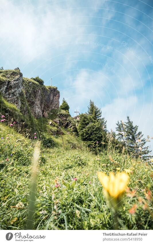 View upwards to the summit cross - great myths Colour photo big myths Mountain Hiking Switzerland Tourism Alps Landscape Exterior shot Green Walking Nature