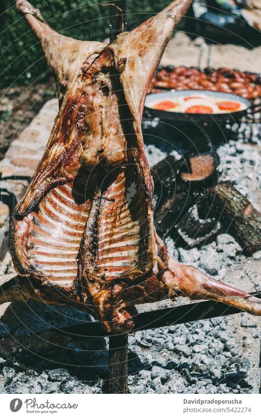 Lamb roasting in a barbecue lamb roasted grilled ribs meat animal outdoor stick garden charcoal chop food bbq cooking wood trunk cuisine embers summer chourizo