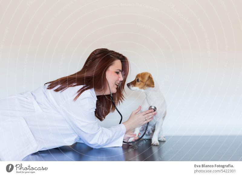 Portrait of a young veterinarian woman examining a cute small dog by using stethoscope, isolated on white background. Indoors sick specialist foot laptop