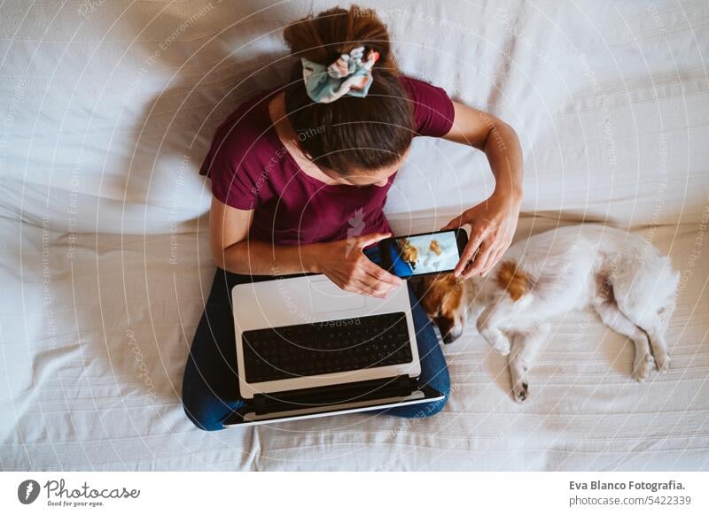 young woman working on laptop at home, sitting on the couch, taking a picture with mobile phone of her cute small dog besides. Technology and pets concept