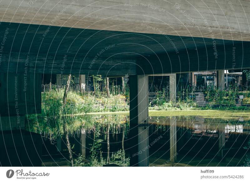 small pond with green idyllic rest area under heavy concrete building resting zone Pond Urban life retreat covert urban Deserted Loneliness Calm Idyll