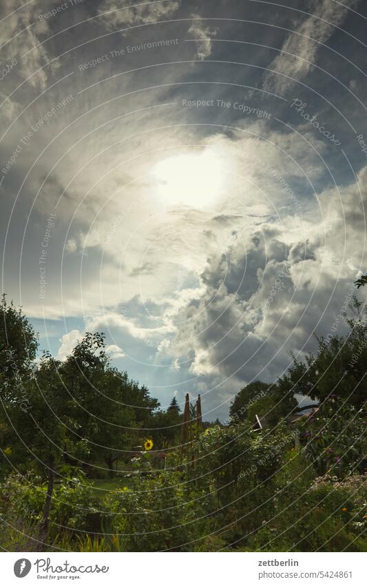 Thunderstorm tendency Evening altocumulus Menacing Dark Twilight somber colour spectrum Closing time Worm's-eye view Thunder and lightning cumulus cloud Sky