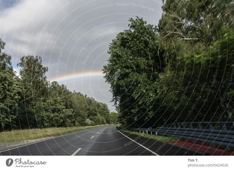 Street with rainbow Brandenburg Rainbow Summer Avenue Exterior shot Tree Deserted Day Landscape Country road Nature Central perspective Colour photo