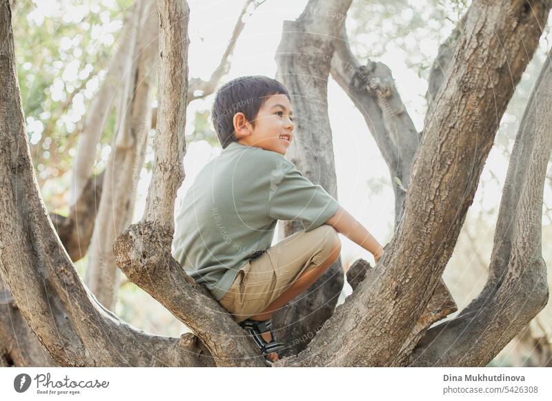 curious diverse kid climbing the olive tree in the park, smiling and looking away to the side. Five or six years old boy in the park in summer, exploring the world.