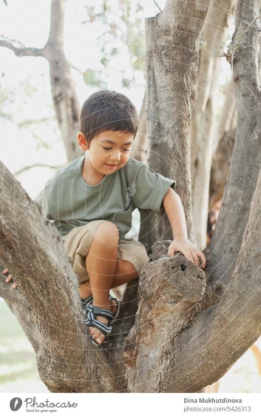 curious diverse kid climbing the olive tree in the park, smiling and looking away to the side. Five or six years old boy in the park in summer, exploring the world.