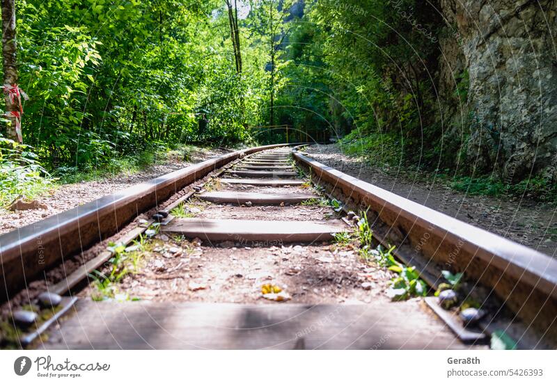 railway in jungle forest in thailand without people background climate ecology environment fresh green journey landscape line metal nature no one no people old