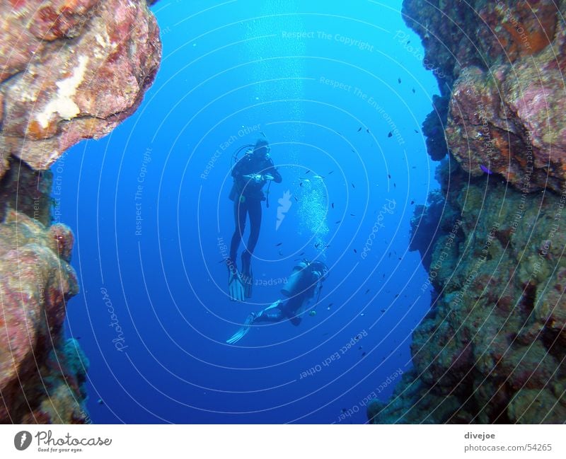 Bluehole diver Dive Egypt Dahab Ocean Underwater photo Diver Air bubble diving blue hole sharm el sheikh red sea bubbles