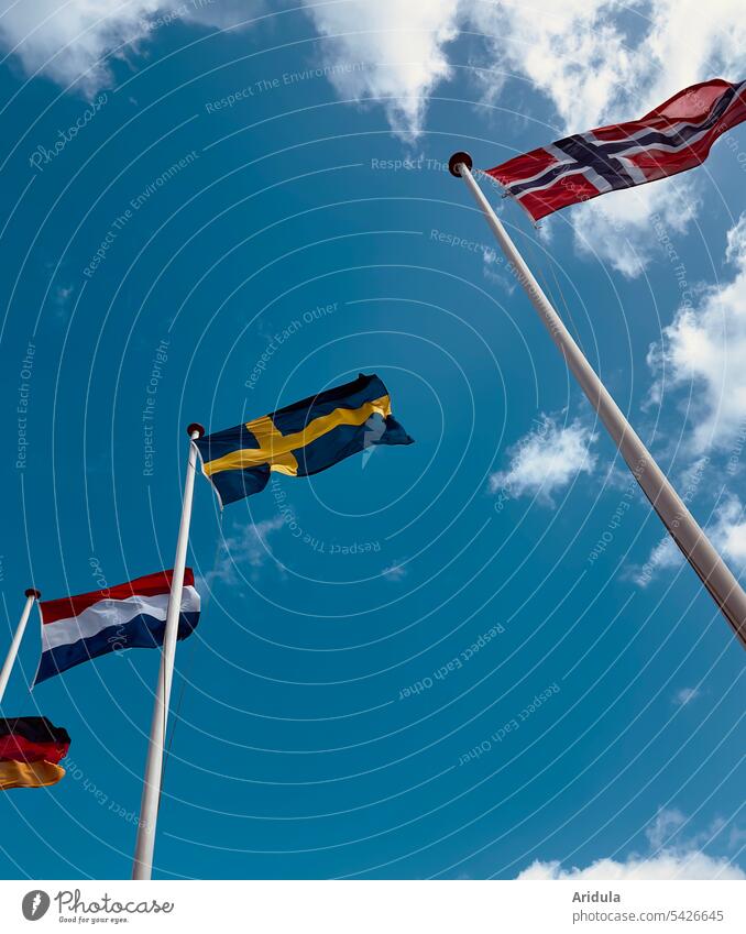 Flags in the wind against blue sky of Norway, Sweden, Netherlands and Germany flag Ensign Wind Politics and state Flagpole Blow Sky Europe