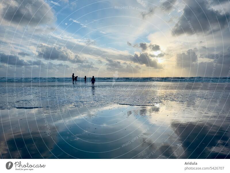 Four people at sunset at the North Sea Sunset Ocean Beach Water Sky coast Landscape Vacation & Travel watt Reflection Summer Relaxation Tourism Evening Clouds