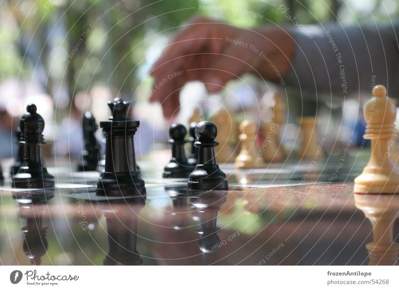 chess Macro (Extreme close-up) Black White Hand Blur Chessboard Places Sun Shadow Santa Cruz Chess piece