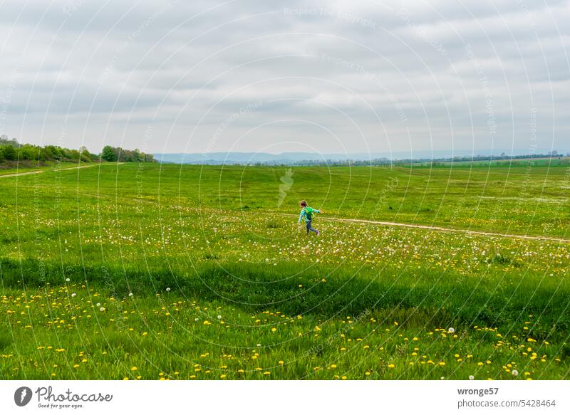 A girl runs happily across a meadow with flowering dandelions Girl omitted Meadow Dandelion Summer Spring Walking Playful effusively Very cheerful amused Nature