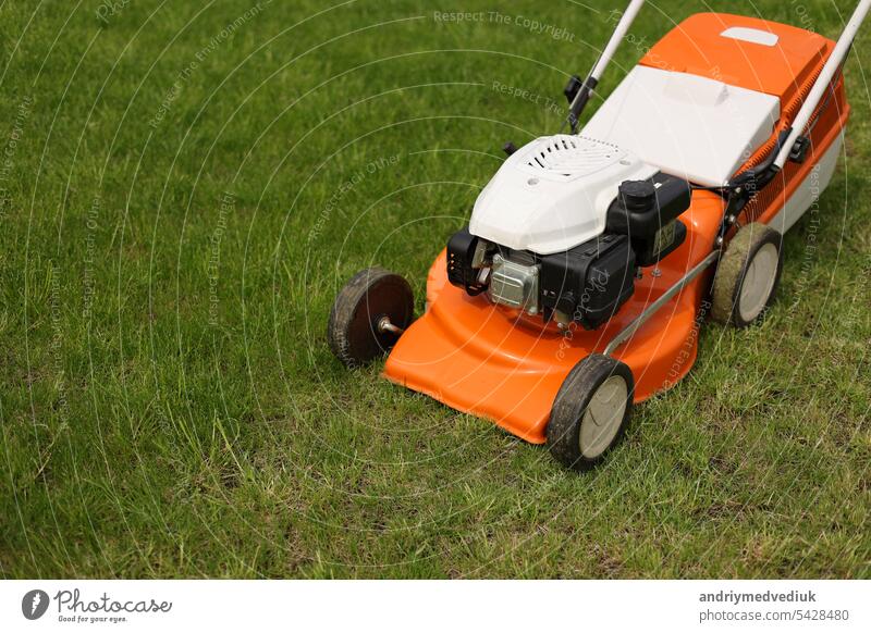 Top view of modern orange-grey electric lawn mower cutting bright lush  green grass. Gardening work tools. Rotary lawn mower machine on lawn.  Professional lawn care service. Place for text - a Royalty
