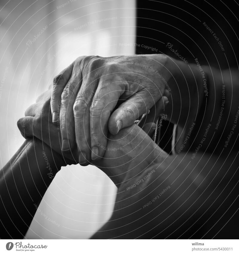 Hands in old age hands - a Royalty Free Stock Photo from Photocase