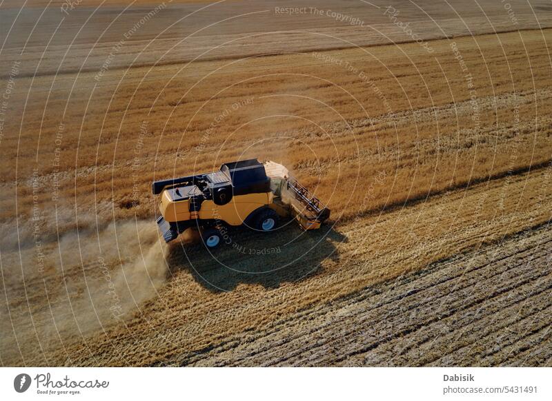 Combine harvester working in agricultural field. Harvest season combine harvester harvesting rye agronomy barley aerial wheat food summer landscape autumn farm