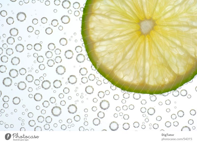 bubble lime Fresh Cold Lime Cool (slang) Refreshment Bubble