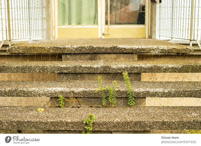 Relic from the age of exposed aggregate concrete relic Input stages Stairs stagger washed concrete Structures and shapes Upward Entrance representation Past