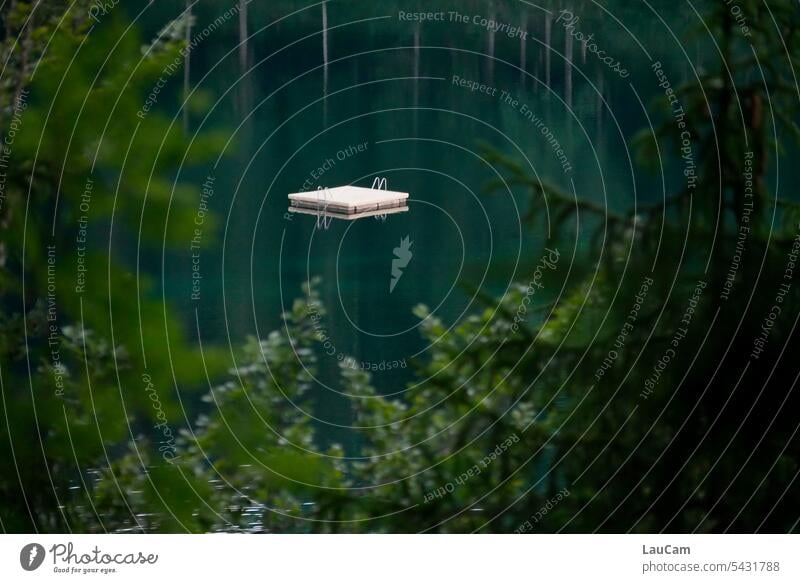 secluded bathing spot Bathing place bathing island Swimming lake Forest Lake Water Summer be afloat Calm Relaxation idyllically Idyll trees reflection hovering