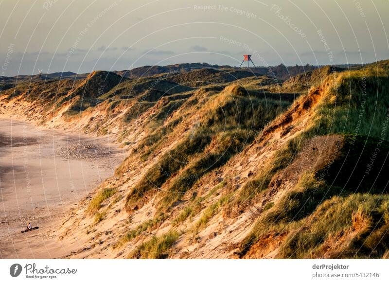 Dunes on the beach of Vorupør in Denmark II Sand Colour photo Relaxation Beach life Vacation & Travel bathe Recreation area vacation Vacation mood Ocean