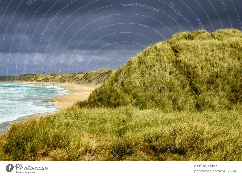 Dunes on Vorupør beach in Denmark Sand Colour photo Relaxation Beach life Vacation & Travel bathe Recreation area vacation Vacation mood Ocean Walk on the beach