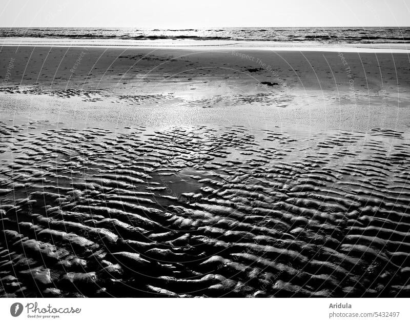 black and white facebook cover beach