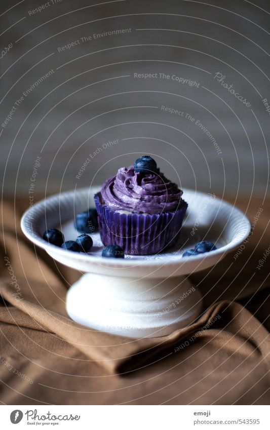"healthy" Fruit Cake Dessert Candy Nutrition Picnic Finger food Delicious Sweet Violet Blueberry Cupcake Rich in calories Colour photo Interior shot Deserted