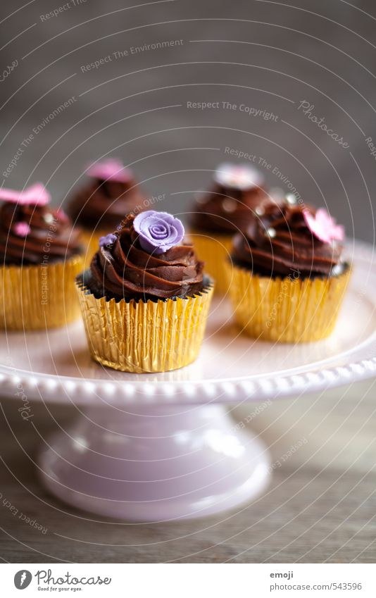 chocolate Cake Candy Chocolate Nutrition Slow food Finger food Delicious Sweet Cupcake Rich in calories Colour photo Interior shot Deserted Copy Space top