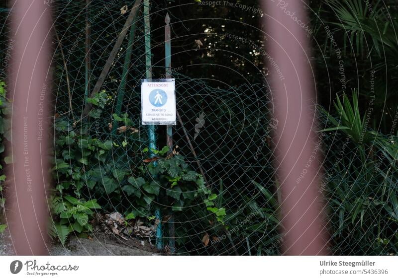 An Italian prohibition sign no entry private property stop sign no access Stop sign Pedestrian Prohibition sign Italy attenzione Fence Green plants