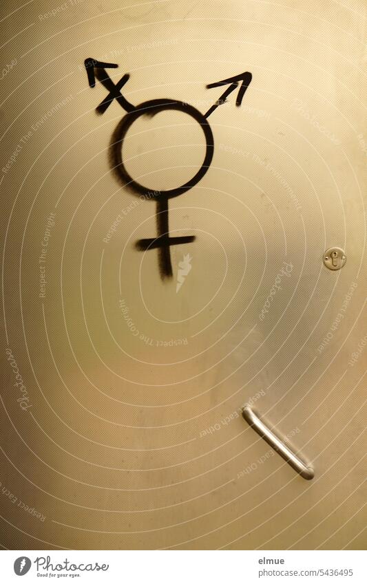 Gender symbol on metal door gender reveal masculine feminine miscellaneous diversity Metal door toilet door Pictogram Equality Symbols and metaphors